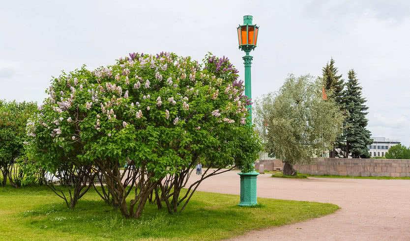 Марсово поле — Экскурсии и программы для детей от 240 рублей