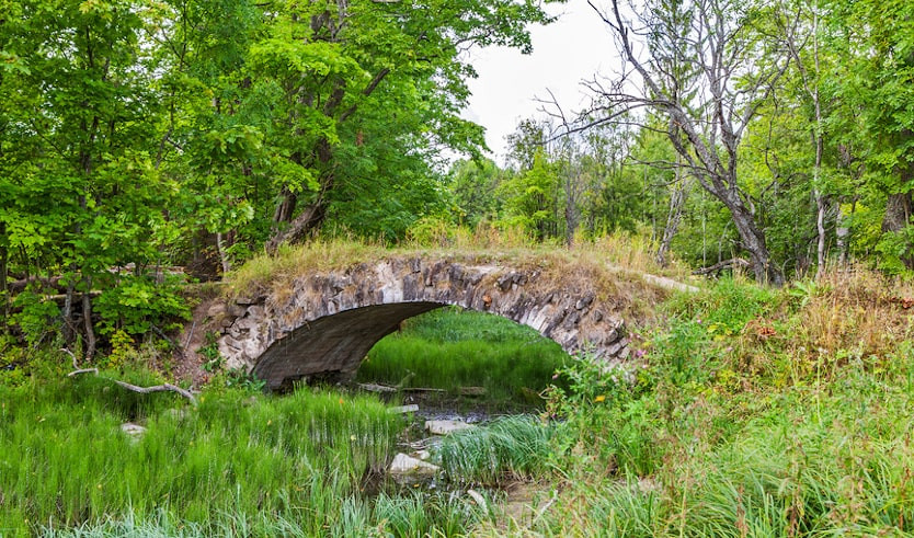 Романтика заброшенных усадеб Ленинградской области — автобусные экскурсии от 2500 руб.