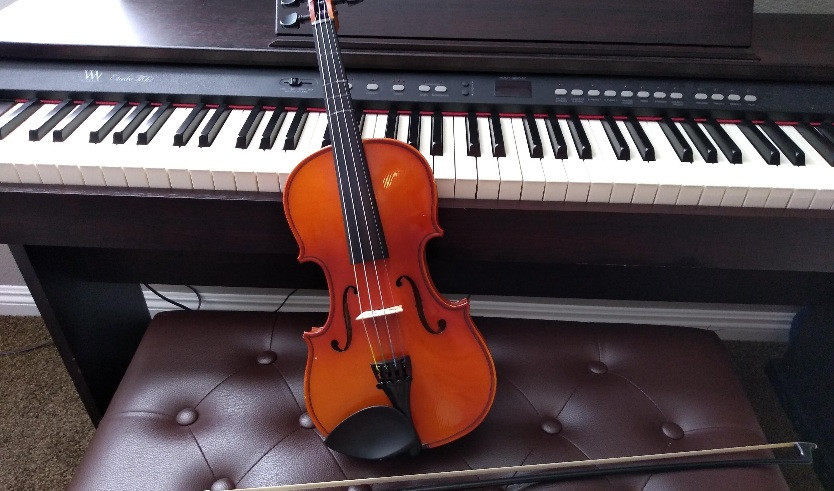 Скрипка — Сборные экскурсии для школьников в Санкт-Петербурге