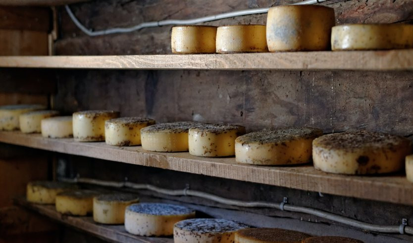 Сыр – загородные экскурсии от 3300 рублей