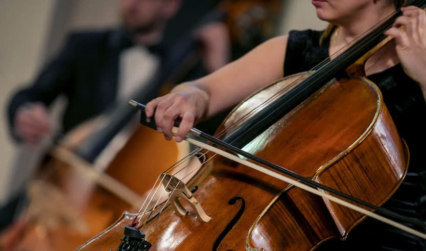 Ночь музыки в Гатчине – корпоративные мероприятия от 1200 рублей