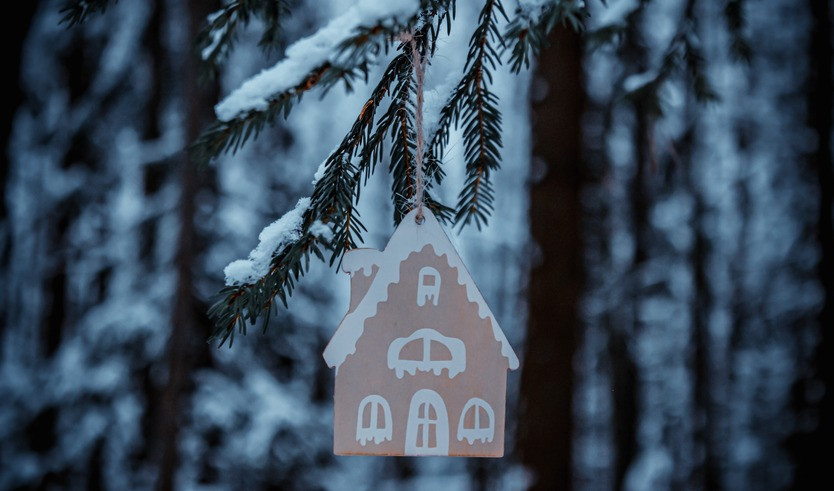 Новогодняя сказка в этнопарке Богословка — сборные экскурсии, мастер-классы, квесты для школьников в Санкт-Петербурге от 1350 рублей  