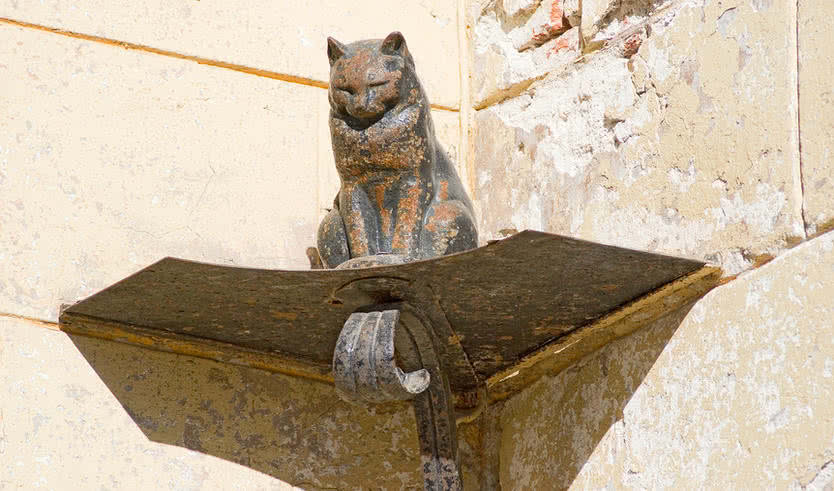 Кот Елисей. Скульптура на Малой Садовой улице — Экскурсии и программы для детей от 435 рублей