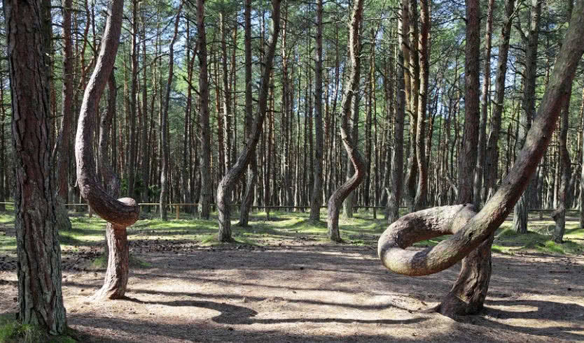 Очарование Балтики (май-октябрь) — экскурсия по расписанию от 13500 рублей