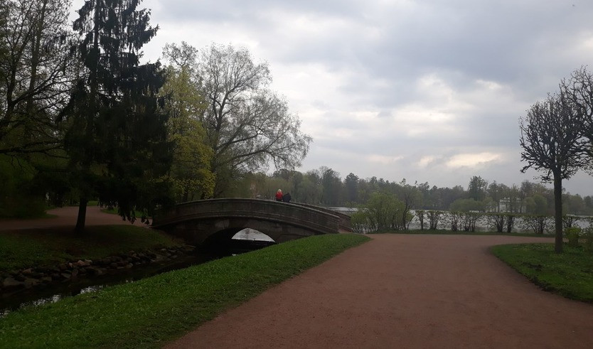 Город муз (Царское село) — Автобусные загородные