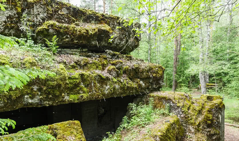 Линия Маннергейма — Автобусные загородные