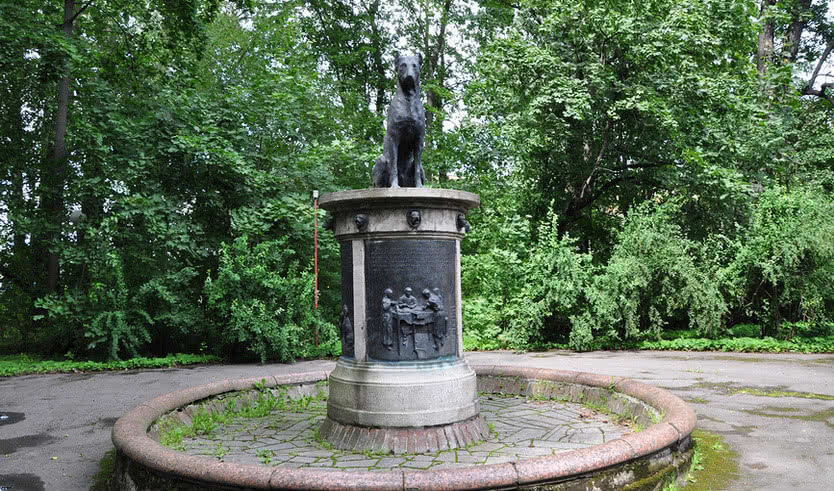 Институт Экспериментальной Медицины: музей и библиотека (для школьных групп) – экскурсии и программы для детей от 900 рублей