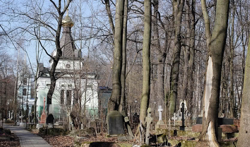 Многогранный Васильевский — индивидуальные экскурсии от 1300 рублей