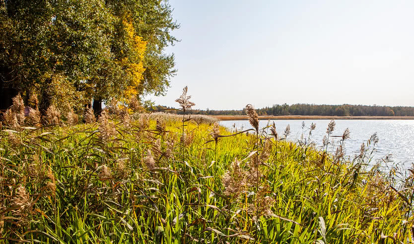 Луга-Городец-Череменецкий монастырь — Экскурсии для организованных групп от 1430 рублей