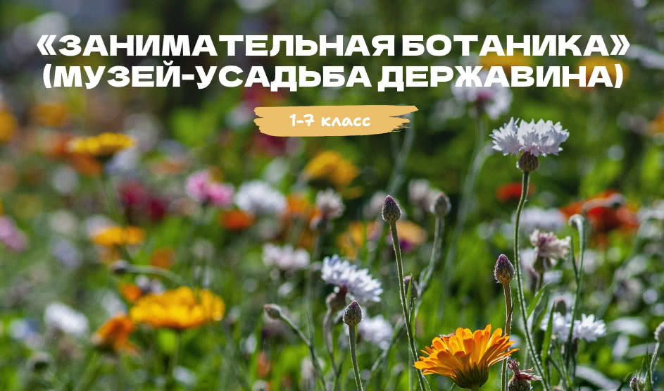 Квест «Занимательная ботаника, или О чем молчат цветы» (Музей-усадьба Державина) (для школьных групп) – квесты для школьников от 480 рублей