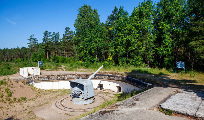 Форт Кронштадта - «Красная Горка» — Автобусные загородные