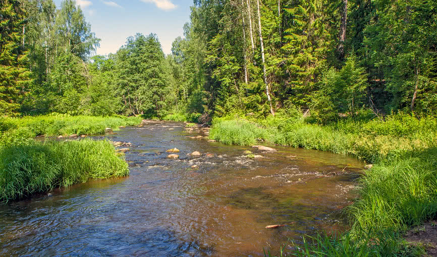 Обложка статьи Куда отправиться этой весной - путешествия по Северо-Западу