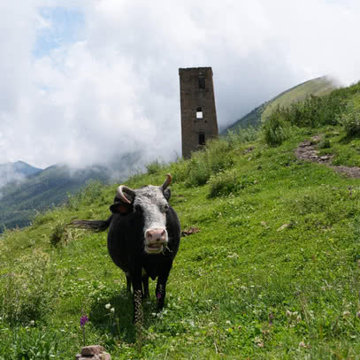 Туры в Дагестан в 2025 году
