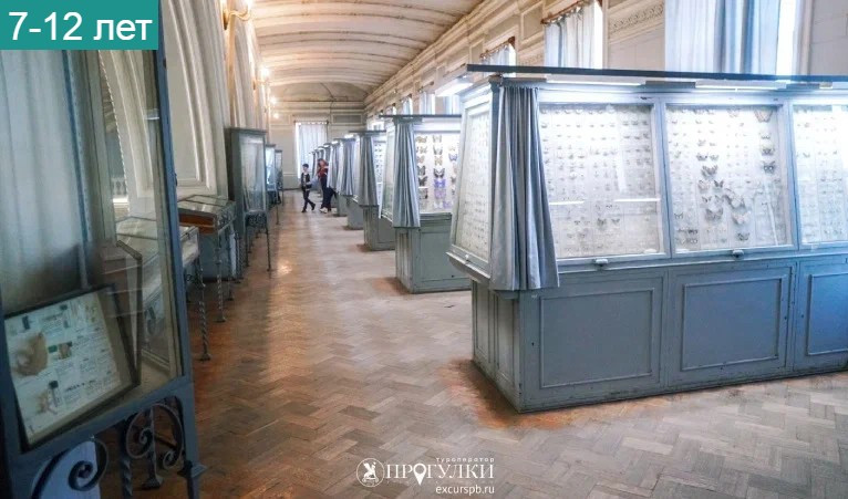 Животные Красной книги мира (Зоологический музей) – детские экскурсии от 700