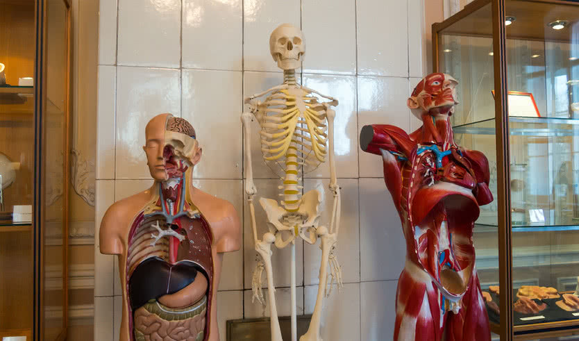 Экспозиция музея гигиены – экскурсии и программы для детей от 2000 рублей