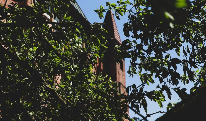 Роскошь и совершенство: Майские в Калининграде — тур не периодичный