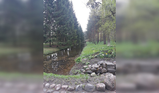 Здесь столько лир повешено на ветки… - по памятным литературным местам Царского Села — Автобусные загородные
