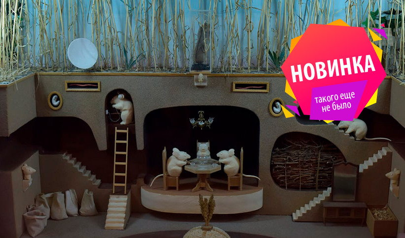 Новогоднее путешествие в Центральном музее почвоведения им. В. В. Докучаева – интерьерные экскурсии от 1200 рублей