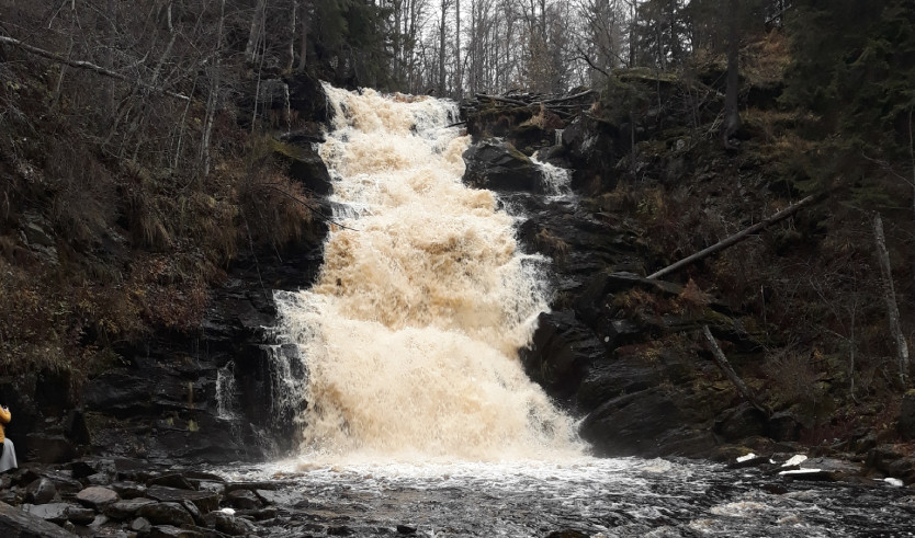 Сила природы Карелии – туры в Карелию от 14850 рублей