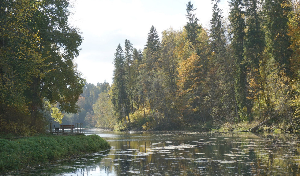 Лопухинский сад – автобусные экскурсии от 3000 рублей