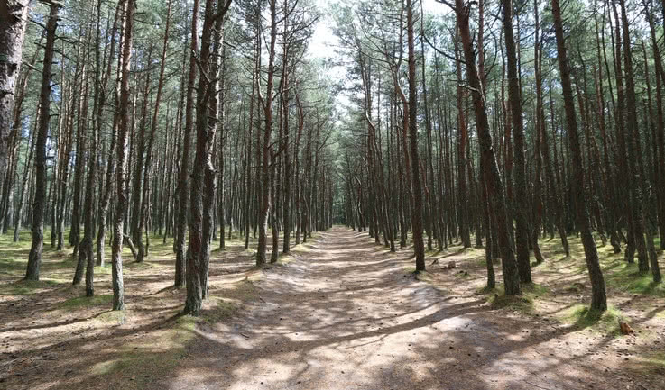 Калининград на 360 за 5 дней — Туры по Северо-Западу - от 58900 рублей