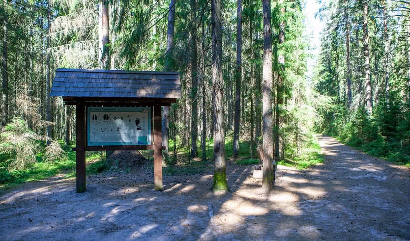 Прогулка по Комарово – Пешеходные экскурсии от 600 рублей