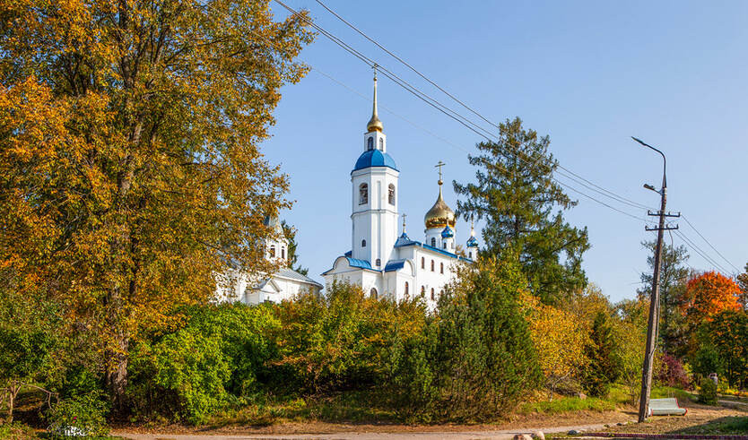 Традиции и быт Лужского уезда — Автобусные загородные
