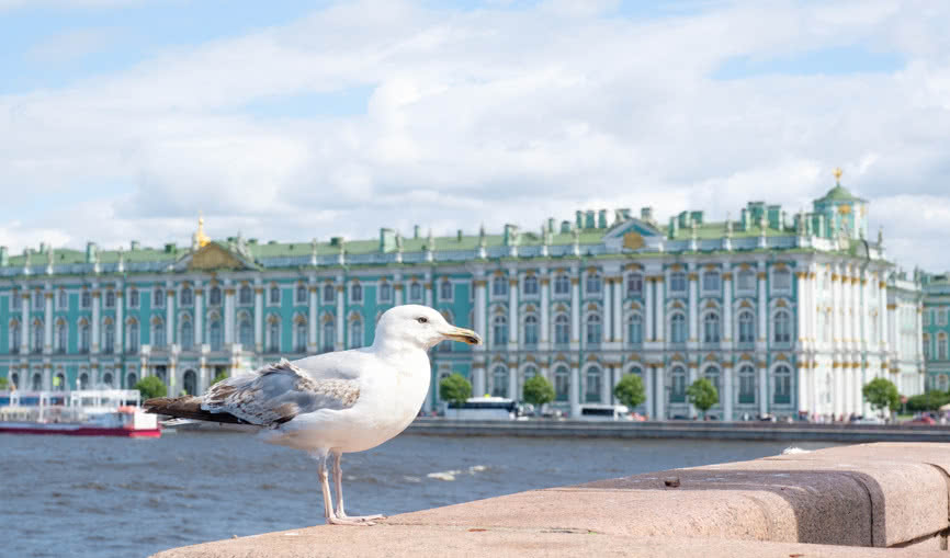 Весна на берегах Невы 