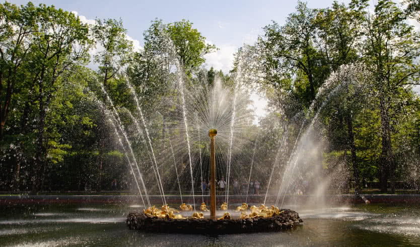 VIP-экскурсия в Петергоф с ловлей осетра и прогулкой на электрокаре — Индивидуальные (VIP) экскурсии и туры в Санкт-Петербурге от 18900 руб.