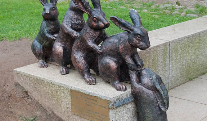 Петропавловская крепость – экскурсии и программы для детей от 1400 рублей