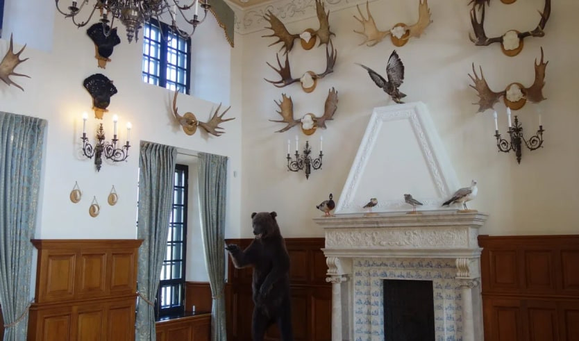 Охотничий зал – Туры и круизы из Петербурга от 12100 рублей