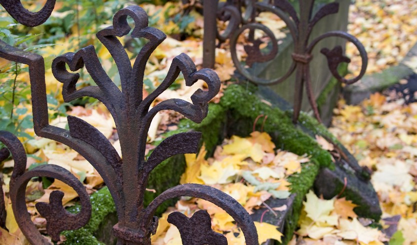 Волковское лютеранское кладбище – пешеходные экскурсии от 600 рублей