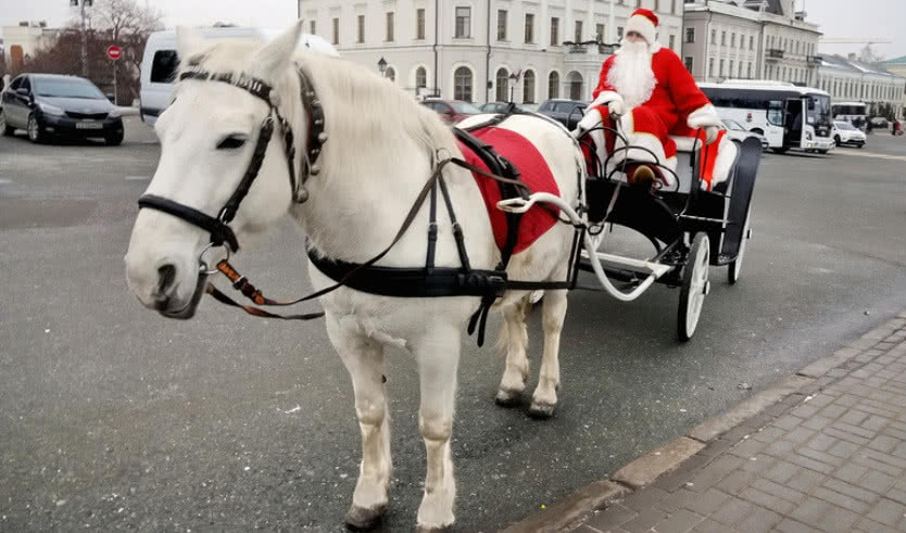 Казань — Туры из Санкт-Петербурга на новогодние праздники от 13600 рублей