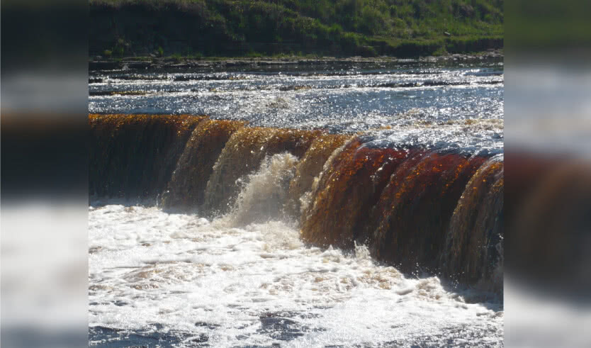 Чудеса Ленинградской области: пещеры, гейзеры и водопады – туры и круизы по Северо-Западу из Санкт-Петербурга