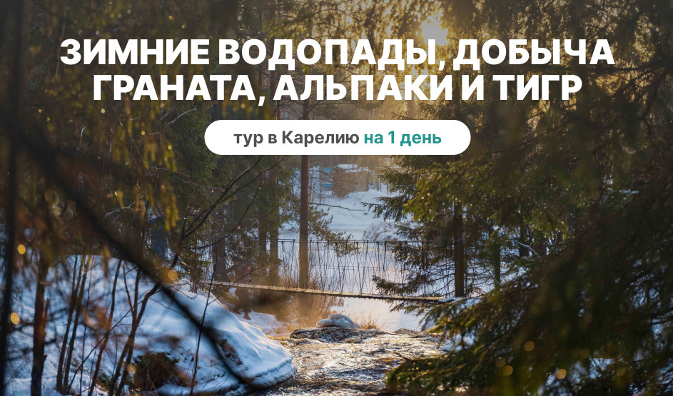 Зимние водопады, добыча граната, альпаки и тигр - туры в Карелию