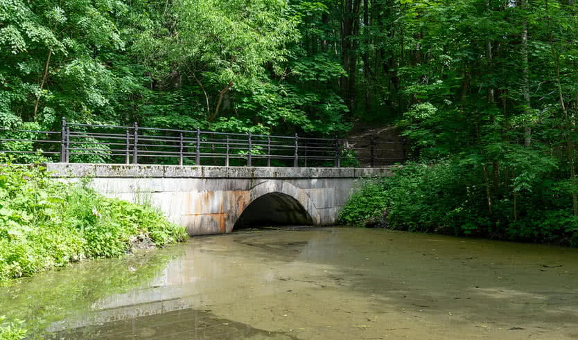 Еще одна прогулка от станции Университет до дачи семьи Бенуа (для групп) – пешеходные экскурсии от 380 рублей