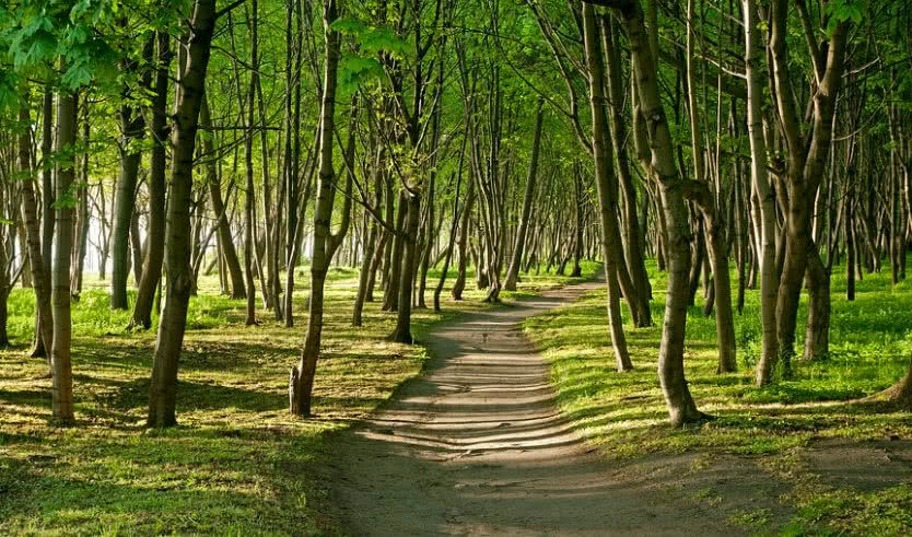 В Тридевятом Царстве (май-октябрь) — экскурсия по расписанию от 18000 рублей