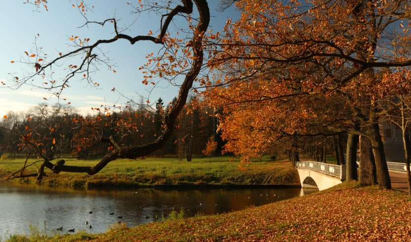 Павловск — Автобусная загородная экскурсия от 2200 рублей