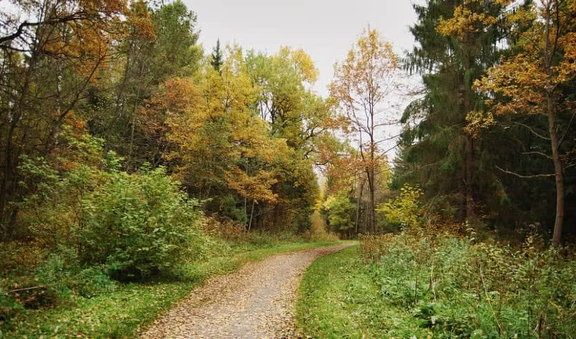 Царское Село. Баболовский парк (велосипедная экскурсия) – корпоративные мероприятия от 1600 рублей