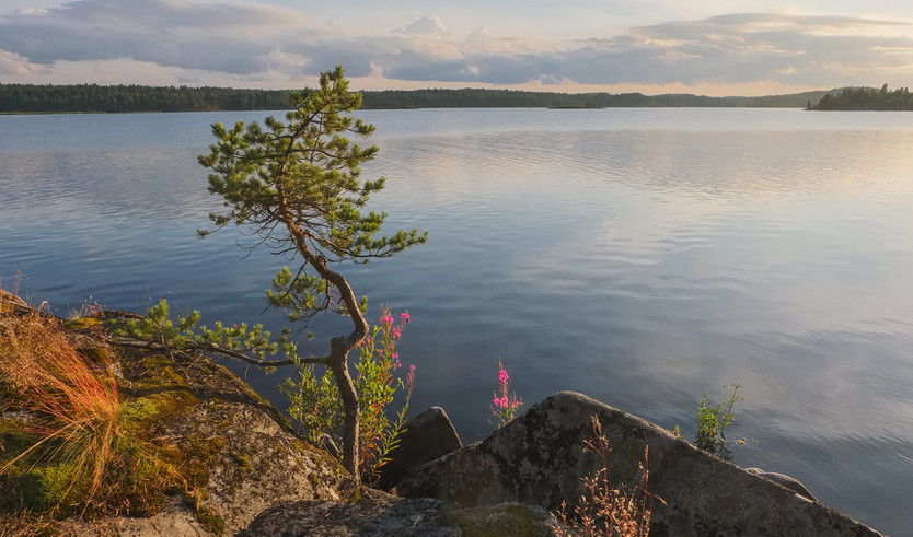 Остров Койонсаари – туры в Карелию от 3490 рублей