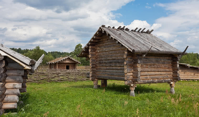Путешествие в Любытино (для заказных групп) — Экскурсии для организованных групп от 1480 рублей