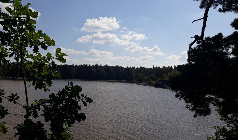 Парк Монрепо и Коронный парк — Автобусные загородные