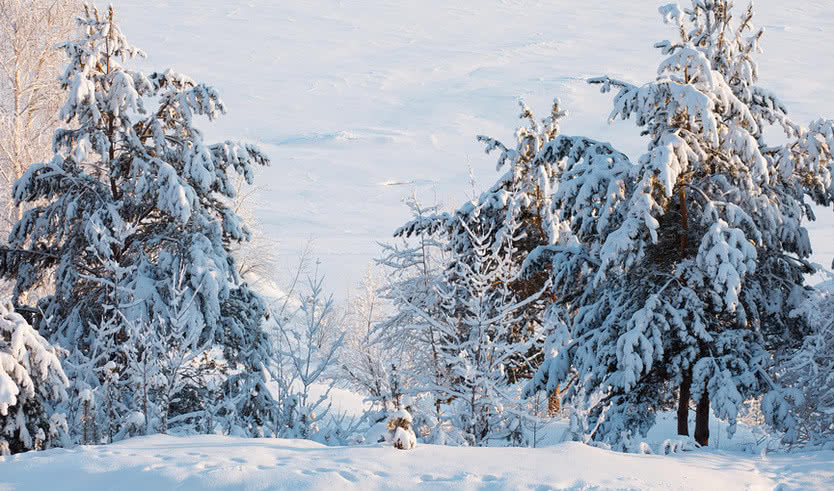 Карелия – Туры в Карелию от 1990 рублей