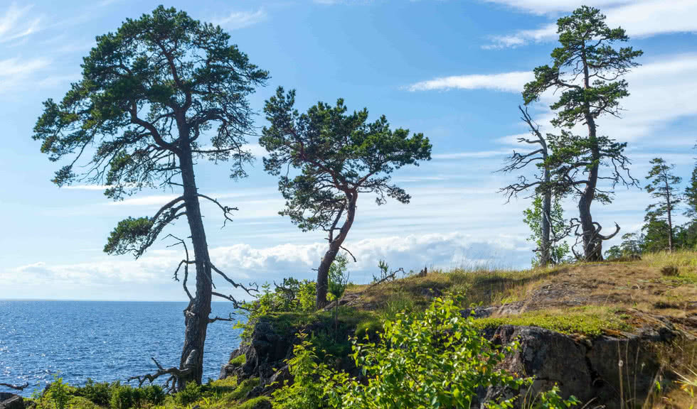 Остров Валаам - туроператор 