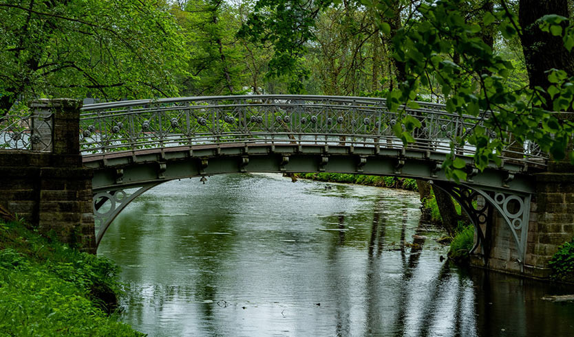 Легче легкого, 5 дней с понедельника (октябрь-апрель) — Туры в СПб