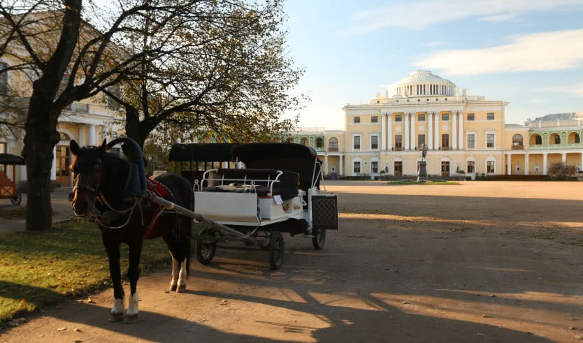 Павловск — Экскурсия для школьников от 23500 рублей
