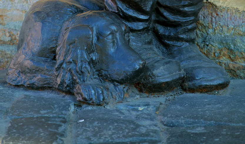 Петербургская Коломна: знакомая и незнакомая — автобусная экскурсия