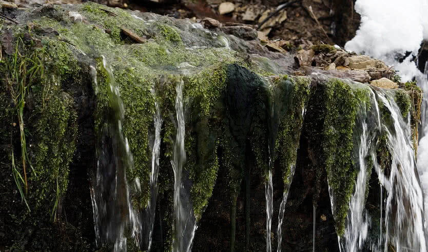 Псков, Изборск, Печоры (1 день) (для групп) – автобусные экскурсии для организованных групп 