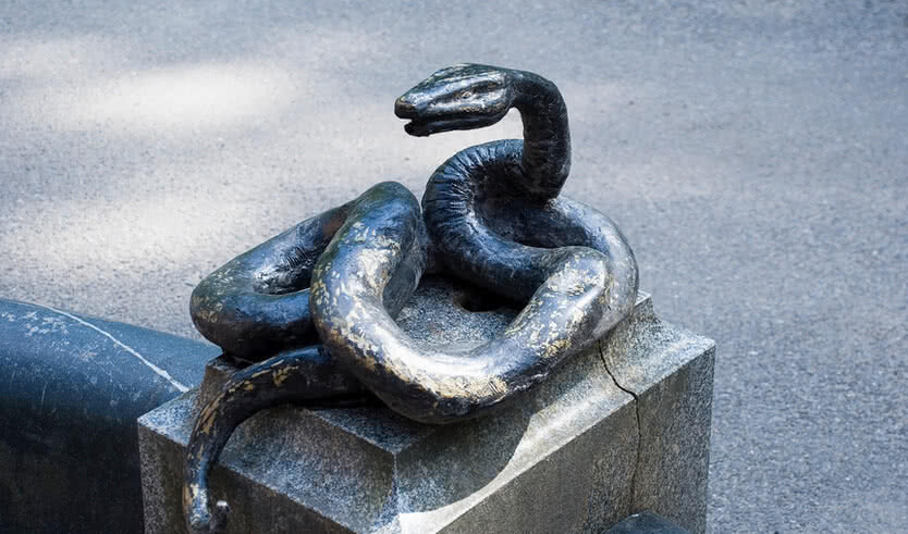 Институт Экспериментальной Медицины: музей и библиотека (для групп) — Интерьерные