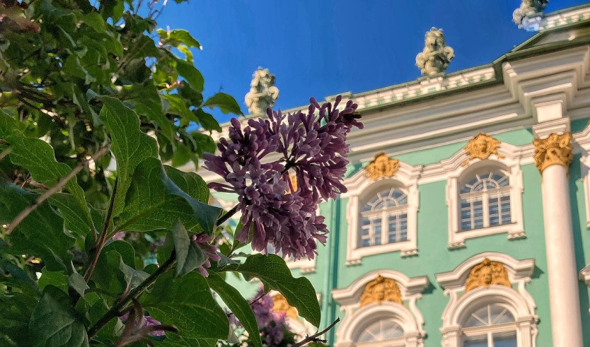 Классический Санкт-Петербург (2 дня, октябрь-апрель) — Туры в СПб